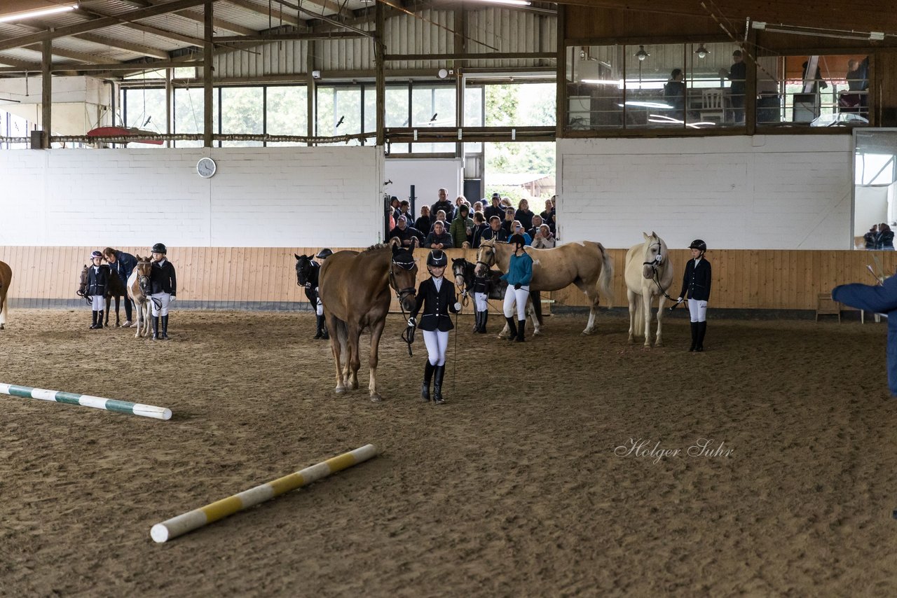 Bild 48 - Pony Akademie Turnier